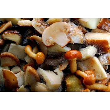 Frozen Mushrum (3)-7435836-37076.webp